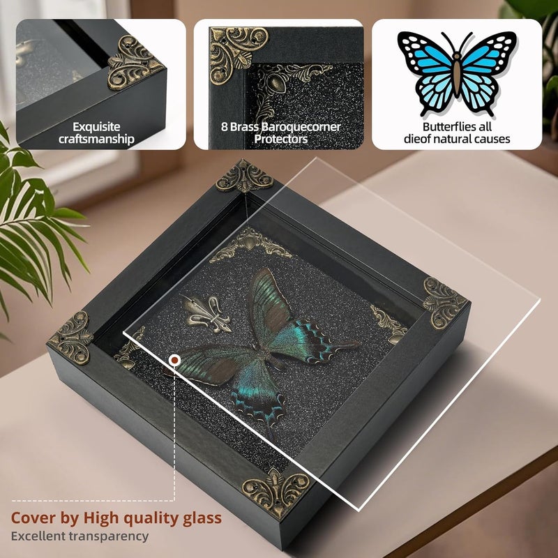GDBEH Real Butterfly Framed Handmade - Taxidermy Butterfly Shadow Box - Real Framed Butterflies in a Box for Gothic Home Decor Aesthetic. (Green-Banded Queen Butterfly) - Image 3